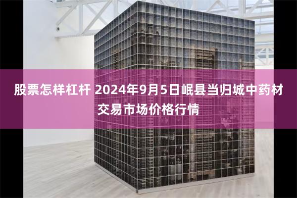 股票怎样杠杆 2024年9月5日岷县当归城中药材交易市场价格行情