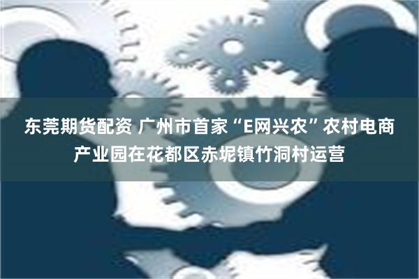 东莞期货配资 广州市首家“E网兴农”农村电商产业园在花都区赤坭镇竹洞村运营