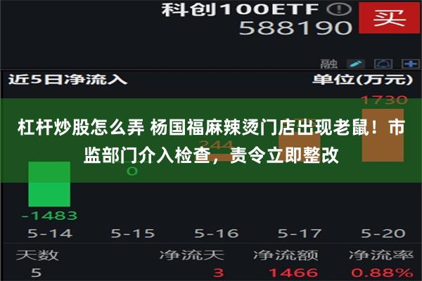 杠杆炒股怎么弄 杨国福麻辣烫门店出现老鼠！市监部门介入检查，责令立即整改