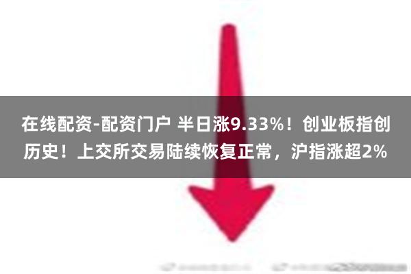 在线配资-配资门户 半日涨9.33%！创业板指创历史！上交所交易陆续恢复正常，沪指涨超2%