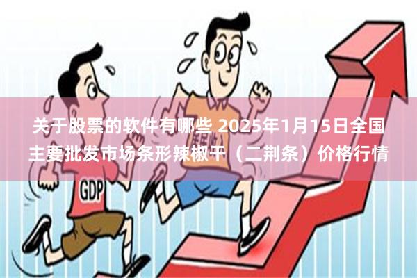 关于股票的软件有哪些 2025年1月15日全国主要批发市场条形辣椒干（二荆条）价格行情